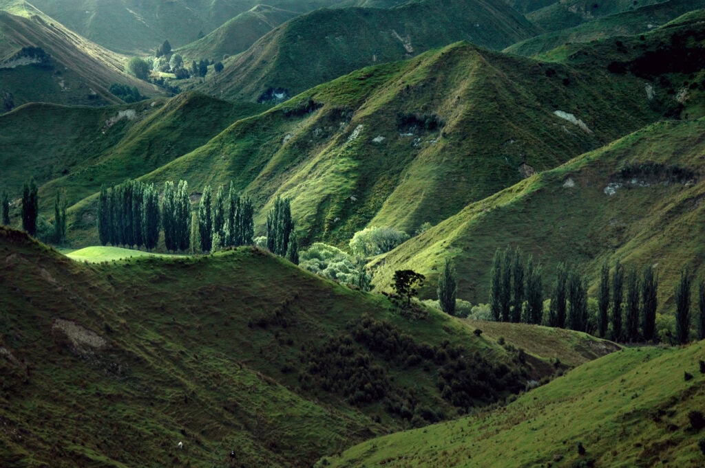 profile fertilisers dairy farming products waikato blog img 4