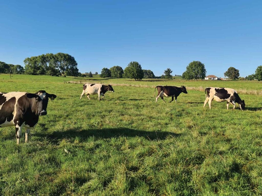 profile fertilisers dairy farming products waikato 76